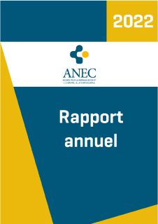 Rapport annuel - ANEC GIE 2022