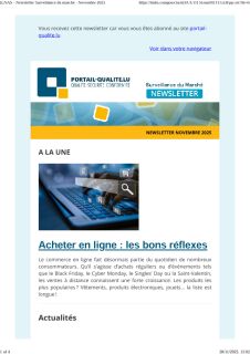 Newsletter Surveillance du marché Novembre 2025