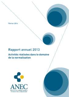 anec-normalisation-rapport-annuel-2013