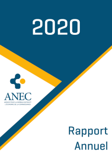 Publication du rapport annuel 2020 du GIE ANEC 