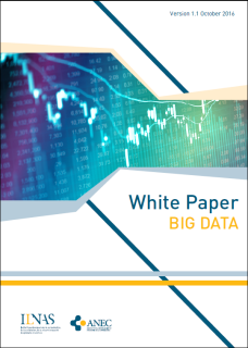 White Paper Big Data – November 2016 Update