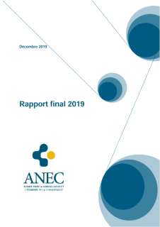 Rapport annuel GIE ANEC 2019